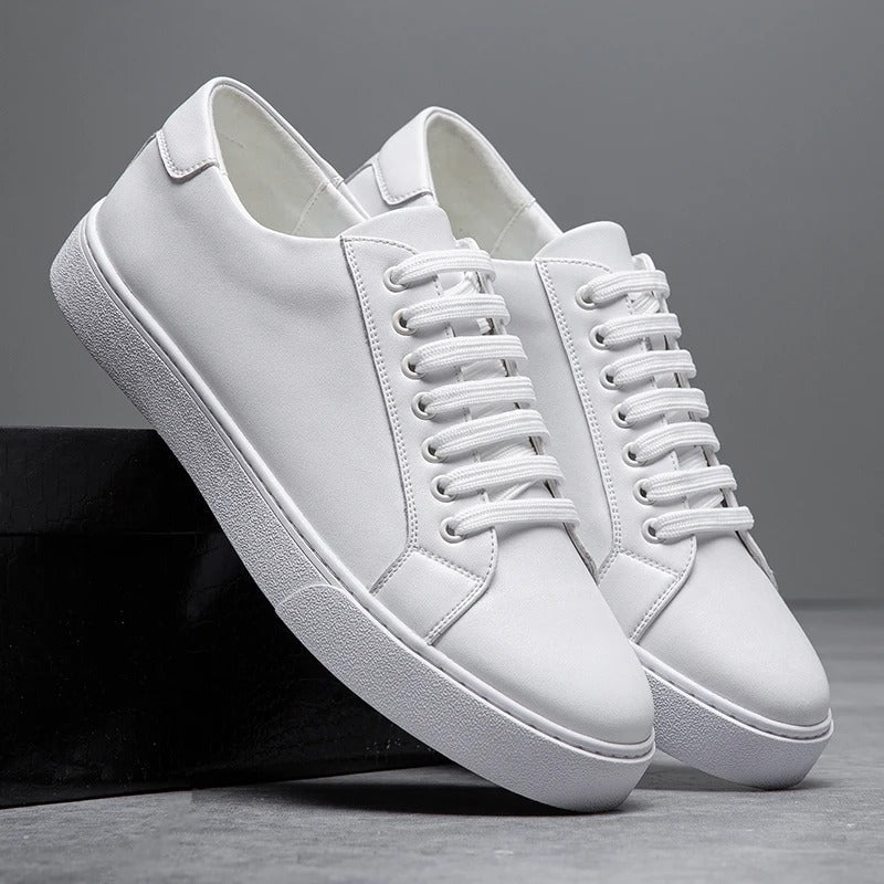 Harrington Low-Tops