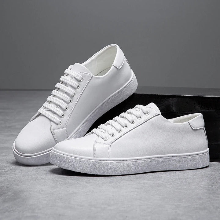 Harrington Low-Tops